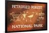 Petrified Forest National Park, Arizona - Petroglyphs-Lantern Press-Framed Art Print