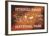 Petrified Forest National Park, Arizona - Petroglyphs-Lantern Press-Framed Art Print