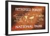 Petrified Forest National Park, Arizona - Petroglyphs-Lantern Press-Framed Art Print