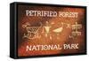 Petrified Forest National Park, Arizona - Petroglyphs-Lantern Press-Framed Stretched Canvas