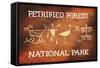 Petrified Forest National Park, Arizona - Petroglyphs-Lantern Press-Framed Stretched Canvas