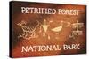 Petrified Forest National Park, Arizona - Petroglyphs-Lantern Press-Stretched Canvas