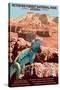 Petrified Forest National Park - Arizona-Lantern Press-Stretched Canvas