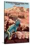 Petrified Forest National Park - Arizona-Lantern Press-Stretched Canvas