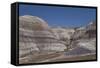 Petrified Forest National Park-Richard Maschmeyer-Framed Stretched Canvas