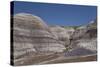 Petrified Forest National Park-Richard Maschmeyer-Stretched Canvas