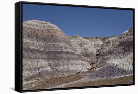 Petrified Forest National Park-Richard Maschmeyer-Framed Stretched Canvas
