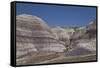 Petrified Forest National Park-Richard Maschmeyer-Framed Stretched Canvas