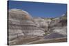 Petrified Forest National Park-Richard Maschmeyer-Stretched Canvas