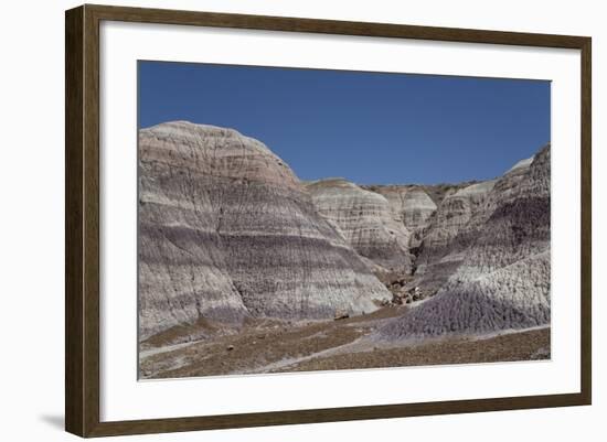 Petrified Forest National Park-Richard Maschmeyer-Framed Photographic Print