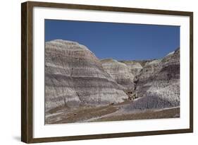 Petrified Forest National Park-Richard Maschmeyer-Framed Photographic Print