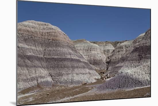 Petrified Forest National Park-Richard Maschmeyer-Mounted Photographic Print