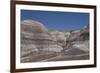 Petrified Forest National Park-Richard Maschmeyer-Framed Photographic Print