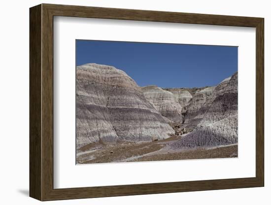 Petrified Forest National Park-Richard Maschmeyer-Framed Photographic Print