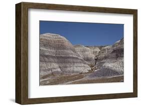 Petrified Forest National Park-Richard Maschmeyer-Framed Photographic Print