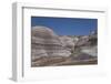 Petrified Forest National Park-Richard Maschmeyer-Framed Photographic Print