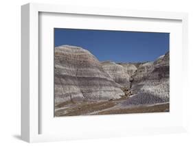 Petrified Forest National Park-Richard Maschmeyer-Framed Photographic Print