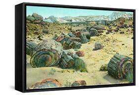 Petrified Forest-Alan Paul-Framed Stretched Canvas