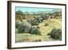 Petrified Forest-Alan Paul-Framed Art Print