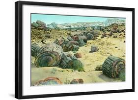 Petrified Forest-Alan Paul-Framed Art Print