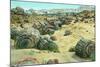 Petrified Forest-Alan Paul-Mounted Art Print