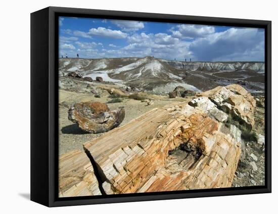 Petrified Logs Exposed by Erosion, Painted Desert and Petrified Forest, Arizona, Usa May 2007-Philippe Clement-Framed Stretched Canvas