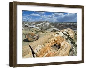 Petrified Logs Exposed by Erosion, Painted Desert and Petrified Forest, Arizona, Usa May 2007-Philippe Clement-Framed Photographic Print