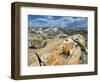 Petrified Logs Exposed by Erosion, Painted Desert and Petrified Forest, Arizona, Usa May 2007-Philippe Clement-Framed Photographic Print