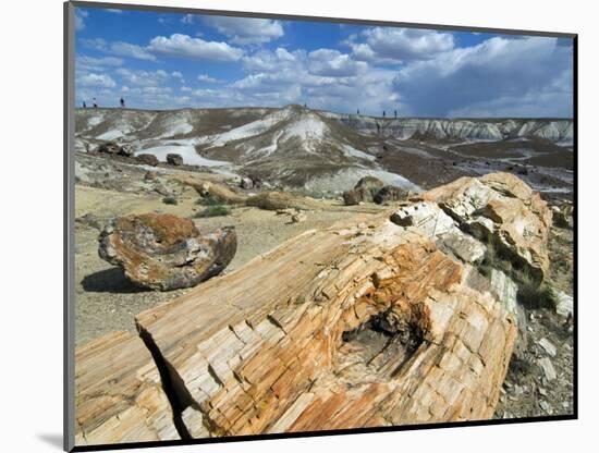 Petrified Logs Exposed by Erosion, Painted Desert and Petrified Forest, Arizona, Usa May 2007-Philippe Clement-Mounted Photographic Print