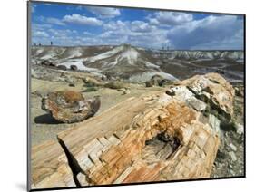 Petrified Logs Exposed by Erosion, Painted Desert and Petrified Forest, Arizona, Usa May 2007-Philippe Clement-Mounted Photographic Print