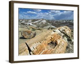 Petrified Logs Exposed by Erosion, Painted Desert and Petrified Forest, Arizona, Usa May 2007-Philippe Clement-Framed Photographic Print