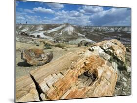 Petrified Logs Exposed by Erosion, Painted Desert and Petrified Forest, Arizona, Usa May 2007-Philippe Clement-Mounted Photographic Print