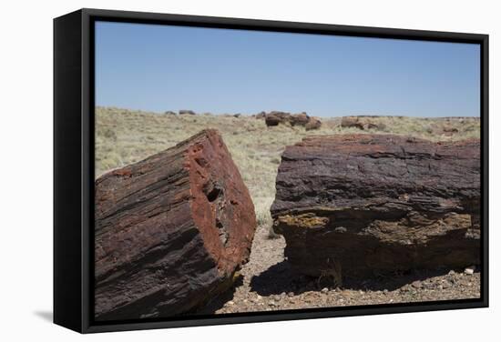 Petrified Logs from the Late Triassic Period-Richard Maschmeyer-Framed Stretched Canvas