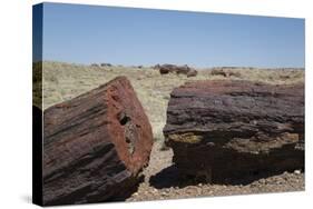 Petrified Logs from the Late Triassic Period-Richard Maschmeyer-Stretched Canvas