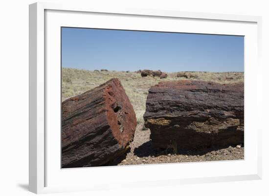 Petrified Logs from the Late Triassic Period-Richard Maschmeyer-Framed Photographic Print