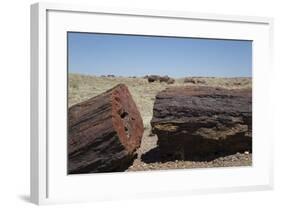 Petrified Logs from the Late Triassic Period-Richard Maschmeyer-Framed Photographic Print