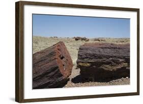 Petrified Logs from the Late Triassic Period-Richard Maschmeyer-Framed Photographic Print