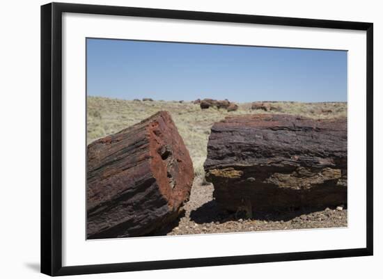 Petrified Logs from the Late Triassic Period-Richard Maschmeyer-Framed Photographic Print