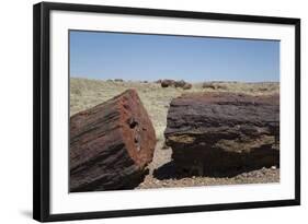 Petrified Logs from the Late Triassic Period-Richard Maschmeyer-Framed Photographic Print