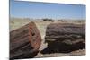Petrified Logs from the Late Triassic Period-Richard Maschmeyer-Mounted Photographic Print
