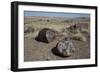 Petrified Logs from the Late Triassic Period-Richard Maschmeyer-Framed Photographic Print