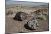 Petrified Logs from the Late Triassic Period-Richard Maschmeyer-Mounted Photographic Print