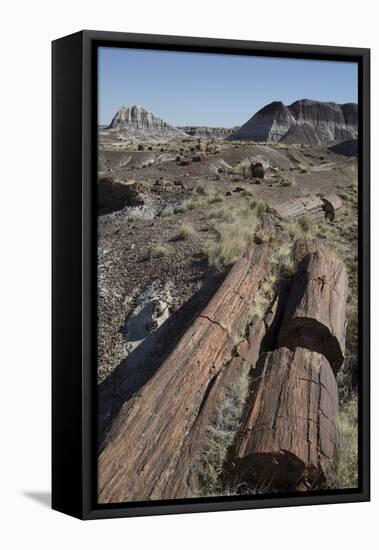 Petrified Logs from the Late Triassic Period-Richard Maschmeyer-Framed Stretched Canvas