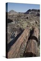 Petrified Logs from the Late Triassic Period-Richard Maschmeyer-Stretched Canvas