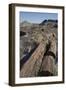 Petrified Logs from the Late Triassic Period-Richard Maschmeyer-Framed Photographic Print