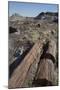 Petrified Logs from the Late Triassic Period-Richard Maschmeyer-Mounted Photographic Print