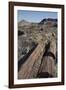 Petrified Logs from the Late Triassic Period-Richard Maschmeyer-Framed Photographic Print