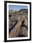 Petrified Logs from the Late Triassic Period-Richard Maschmeyer-Framed Photographic Print