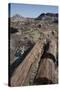 Petrified Logs from the Late Triassic Period-Richard Maschmeyer-Stretched Canvas