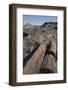 Petrified Logs from the Late Triassic Period-Richard Maschmeyer-Framed Photographic Print